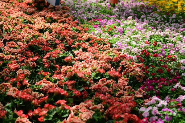 Rénover ses meubles de cuisine à petit prix